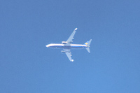 EI-ENP